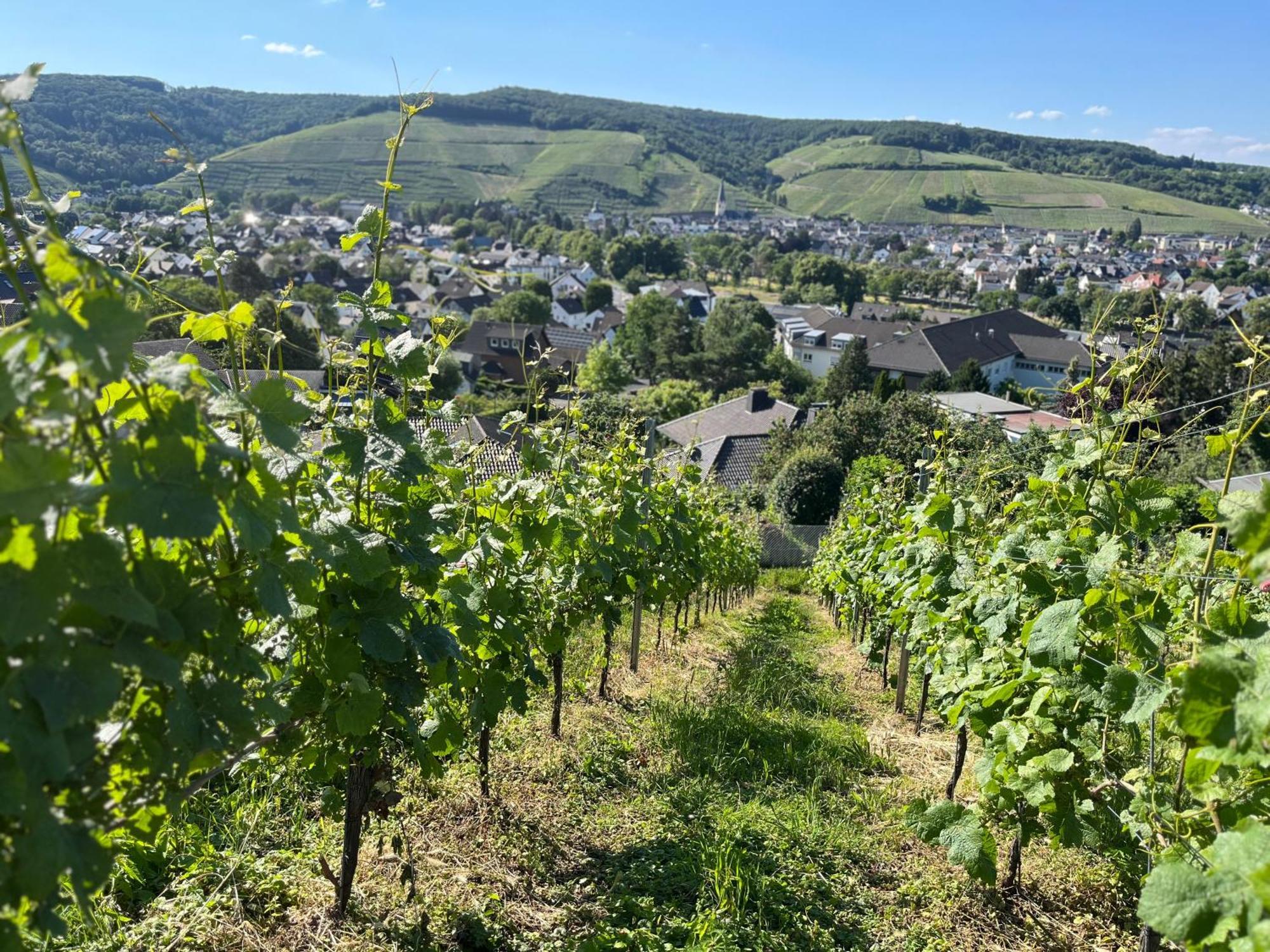 Ferienhaus Mausberg Bad Neuenahr-Ahrweiler Exterior foto